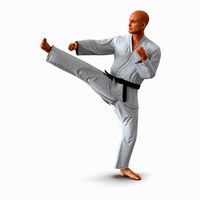 Karate Fighter Pose 2