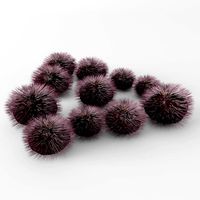 Purple sea urchin