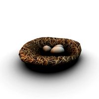 Nest with eggs
