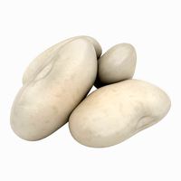 White Kidney Bean