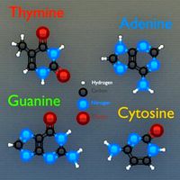 Molecules