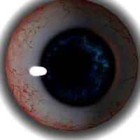 eye