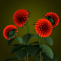 PL Dahlia, Red