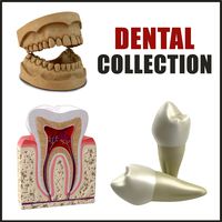 Dental Collection