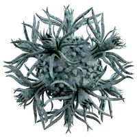 Micro Object MHT 041