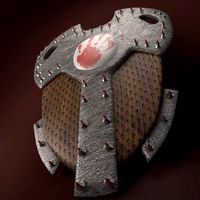 Spiked Shield