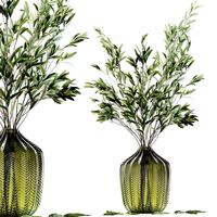 Olive stems in green glass vase