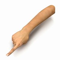 Female Hand 3 Pose 5