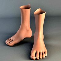 foot