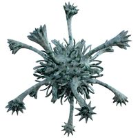 Micro Object MHT 037