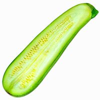 Zucchini Cousa Squash 04 Cut