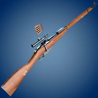 Mosin rifle with scope