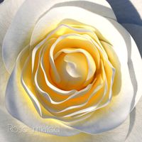 Rose Animated