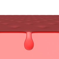 Skin Pore