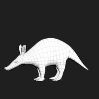 Aardvark Orycteropus afer