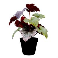 FEJKA Artificial potted plant