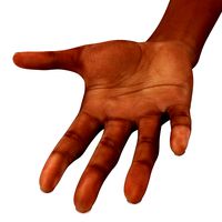 Asian/ Americas Female Hand Short Nails