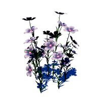 Petunia Flower