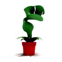 Carnivorous Plant