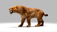 Smilodon Populator