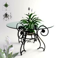 Forged table and plant Spathiphyllum