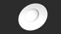 Buckler Parry Shield