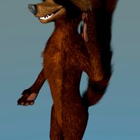 3D Racoon
