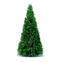 Cone Shaped Hedge