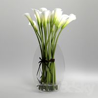Callas