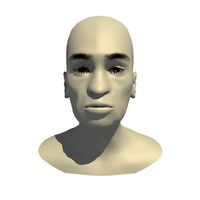 Rigged 70 Year Old African Female Head Base Mesh V1
