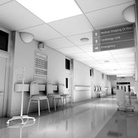 Hospital Hallway White