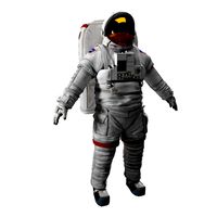 Rigged Astronaut