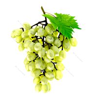 Grapes white