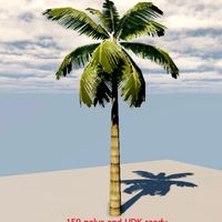 palm tree 45