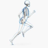 Female Body with Skeleton Running Pose 3D Model
