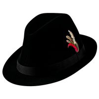 Fedora Hat 2