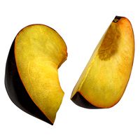 Sliced Plum 2 3D Model
