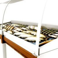 Deli Fish Counter