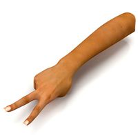 Female Hand Peace Gesture