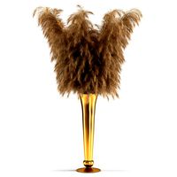 Pampas grass in brass vase