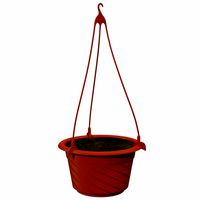 Hanging Pot with Soil