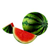 Watermelon (High End)