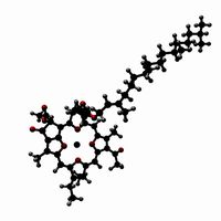 Chlorophyll (Molecule)
