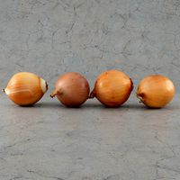 Four onions