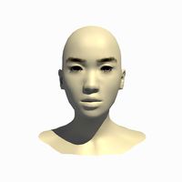 Rigged 24 Year Old Asian Female Head Base Mesh