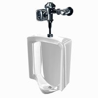 Urinal Toilet