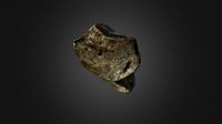 Woolly Rhino Wristbone