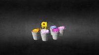 Prop_Flowers