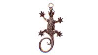 Salamander