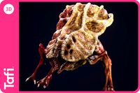 Xenotype Specimen Alpha Original Creature from Tafi